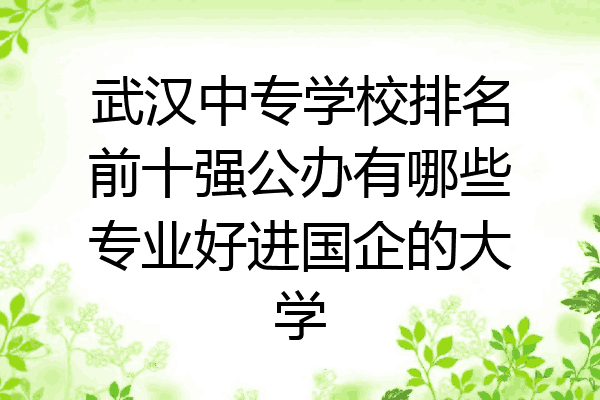 武汉中专学校排名前十强公办有哪些专业好进国企的大学