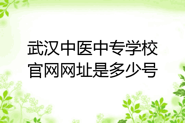 武汉中医中专学校官网网址是多少号