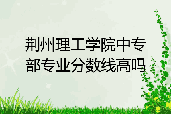 荆州理工学院中专部专业分数线高吗