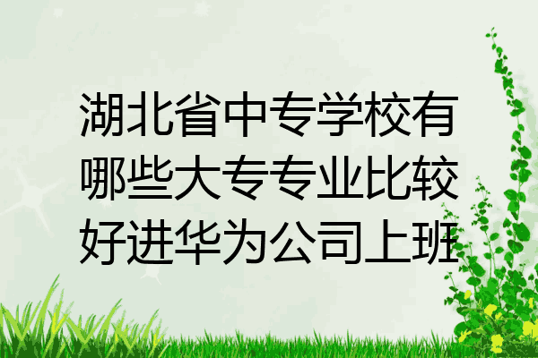 湖北省中专学校有哪些大专专业比较好进华为公司上班