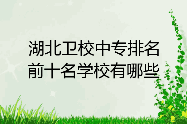 湖北卫校中专排名前十名学校有哪些