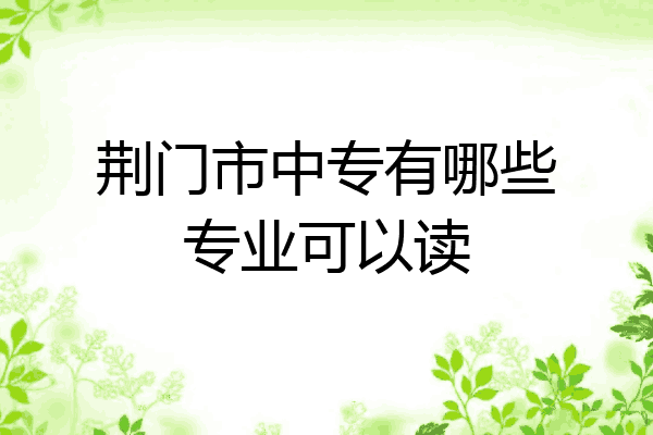 荆门市中专有哪些专业可以读