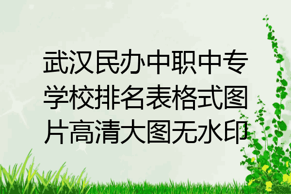 武汉民办中职中专学校排名表格式图片高清大图无水印