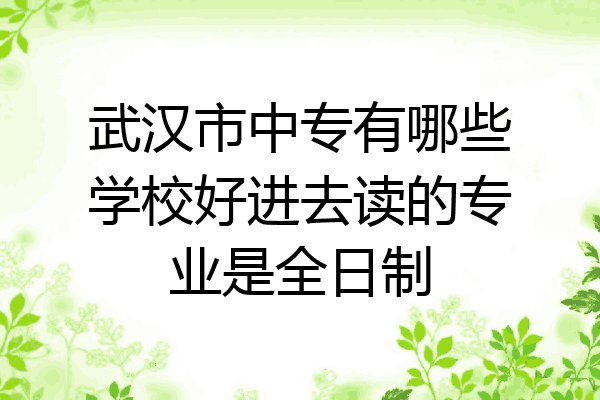 武汉市中专有哪些学校好进去读的专业是全日制