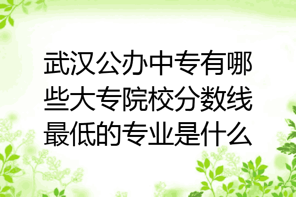 武汉公办中专有哪些大专院校分数线最低的专业是什么