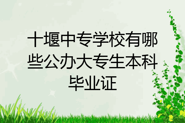 十堰中专学校有哪些公办大专生本科毕业证