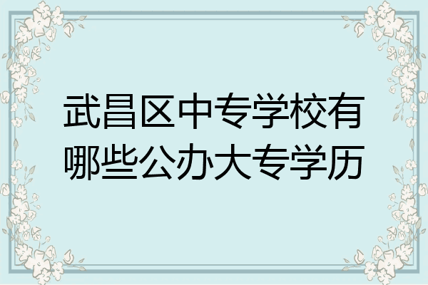 武昌区中专学校有哪些公办大专学历