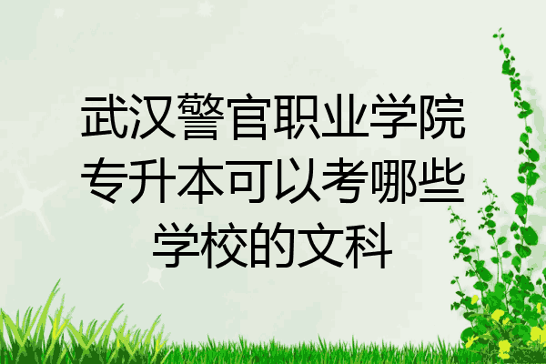 武汉警官职业学院专升本可以考哪些学校的文科