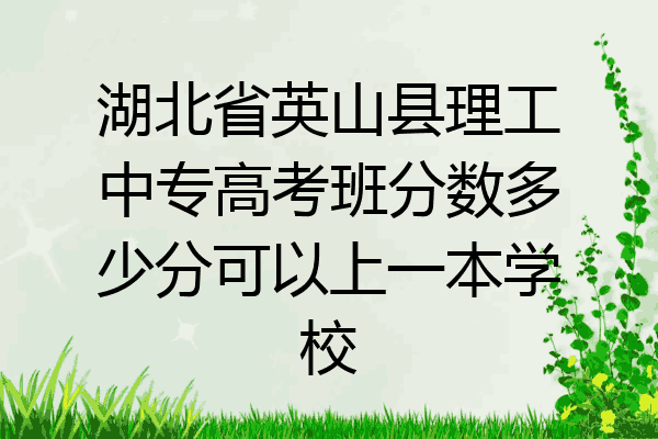 湖北省英山县理工中专高考班分数多少分可以上一本学校
