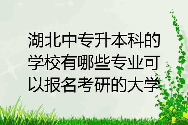 湖北中专升本科的学校有哪些专业可以报名考研的大学