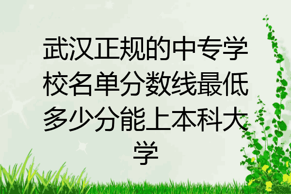 武汉正规的中专学校名单分数线最低多少分能上本科大学