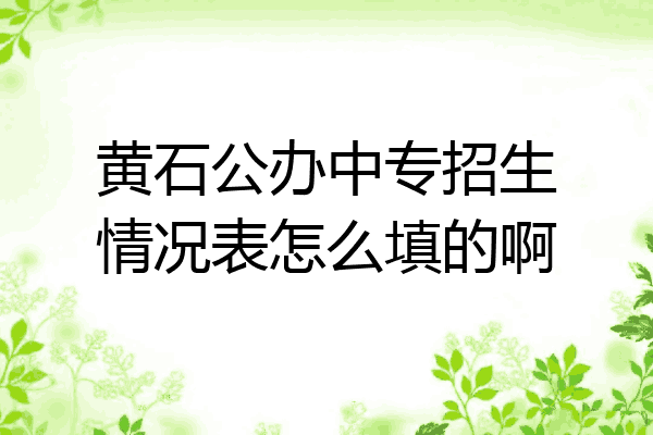 黄石公办中专招生情况表怎么填的啊