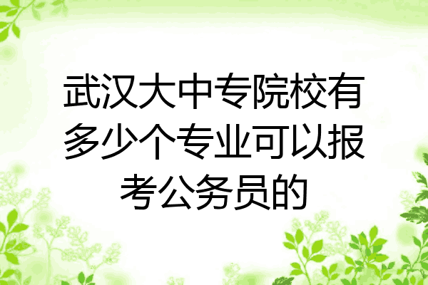 武汉大中专院校有多少个专业可以报考公务员的