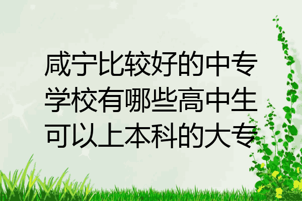 咸宁比较好的中专学校有哪些高中生可以上本科的大专