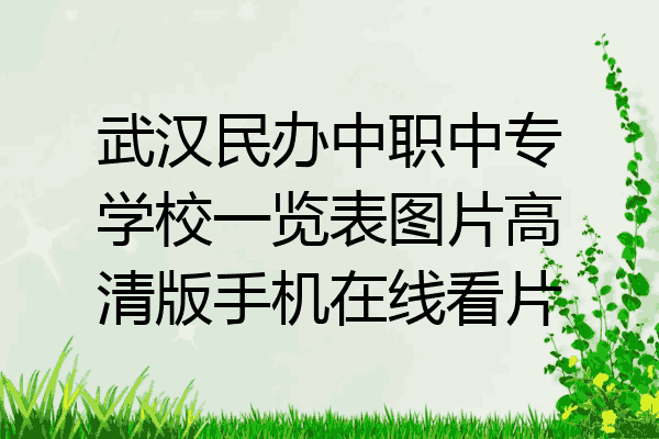 武汉民办中职中专学校一览表图片高清版手机在线看片