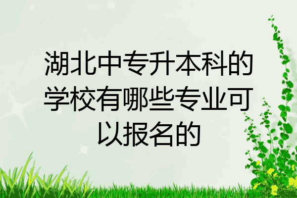 湖北中专升本科的学校有哪些专业可以报名的