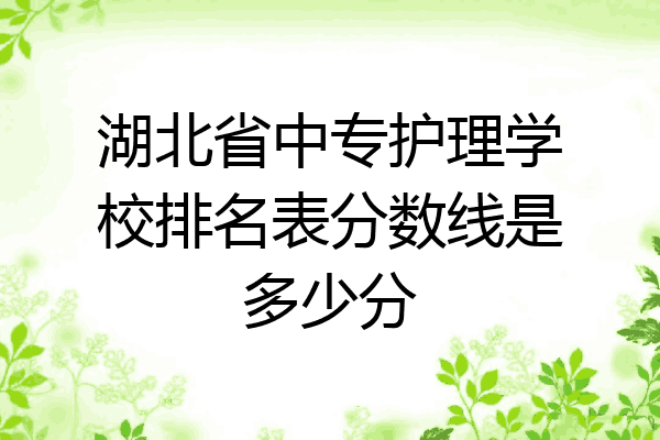 湖北省中专护理学校排名表分数线是多少分