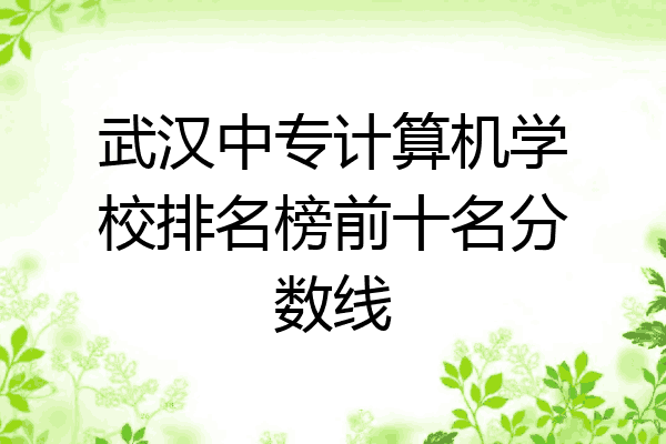 武汉中专计算机学校排名榜前十名分数线
