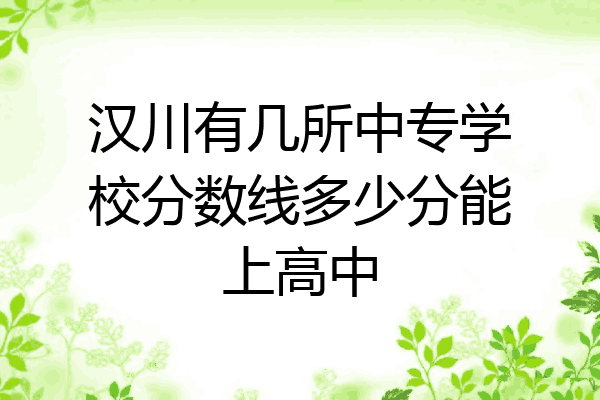 汉川有几所中专学校分数线多少分能上高中