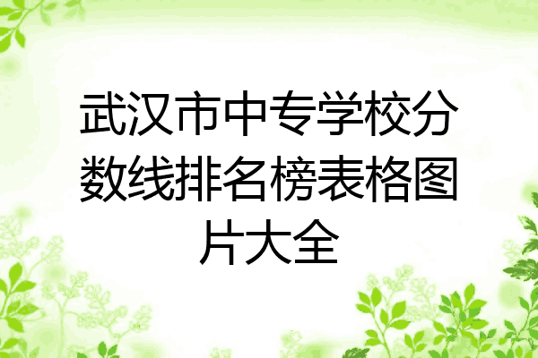 武汉市中专学校分数线排名榜表格图片大全
