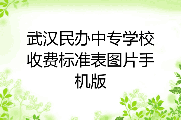 武汉民办中专学校收费标准表图片手机版