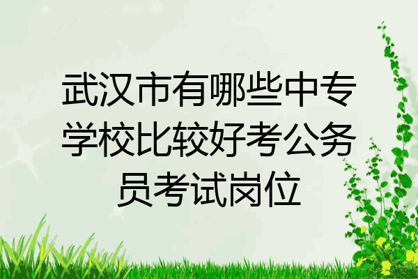 武汉市有哪些中专学校比较好考公务员考试岗位