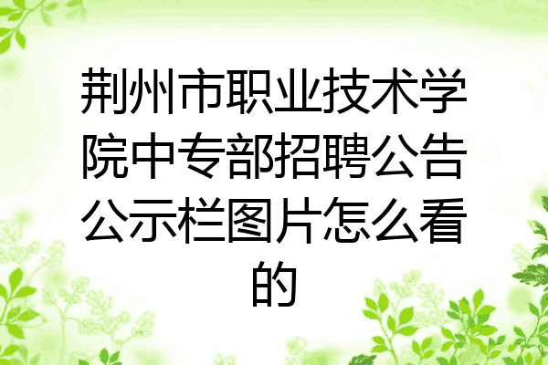 荆州市职业技术学院中专部招聘公告公示栏图片怎么看的