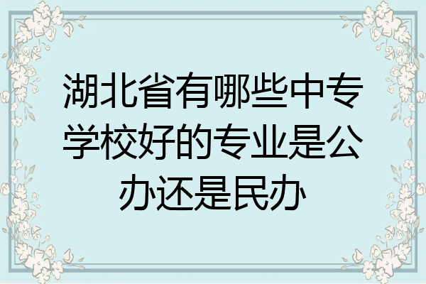 湖北省有哪些中专学校好的专业是公办还是民办