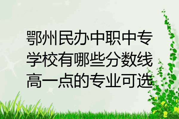 鄂州民办中职中专学校有哪些分数线高一点的专业可选
