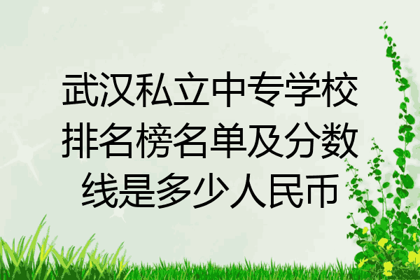 武汉私立中专学校排名榜名单及分数线是多少人民币