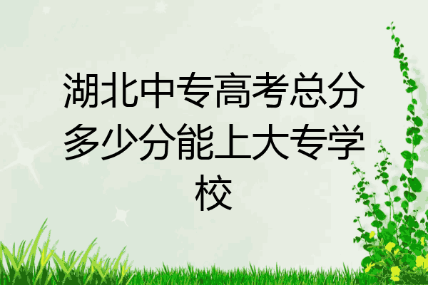 湖北中专高考总分多少分能上大专学校