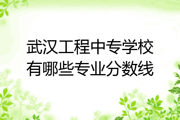 武汉工程中专学校有哪些专业分数线