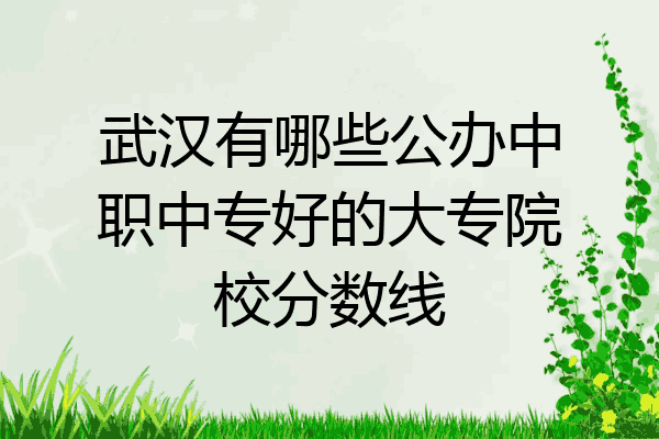 武汉有哪些公办中职中专好的大专院校分数线