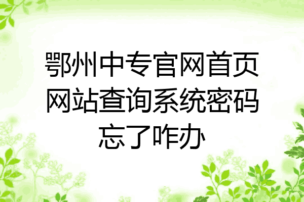 鄂州中专官网首页网站查询系统密码忘了咋办
