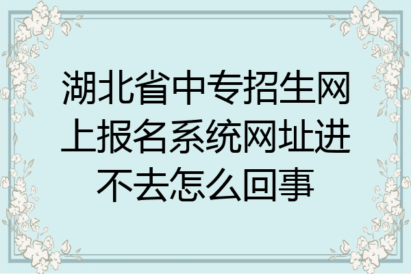 湖北省中专招生网上报名系统网址进不去怎么回事