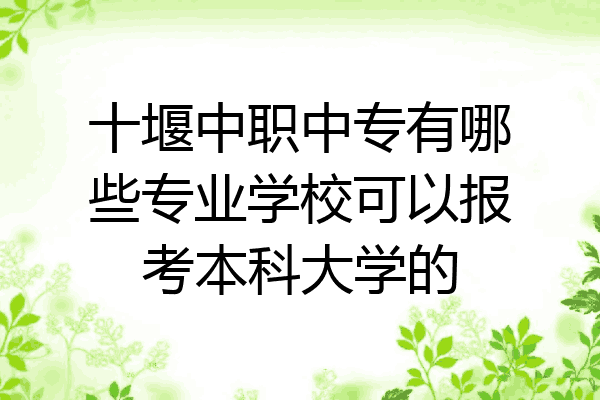 十堰中职中专有哪些专业学校可以报考本科大学的
