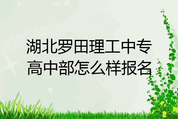 湖北罗田理工中专高中部怎么样报名