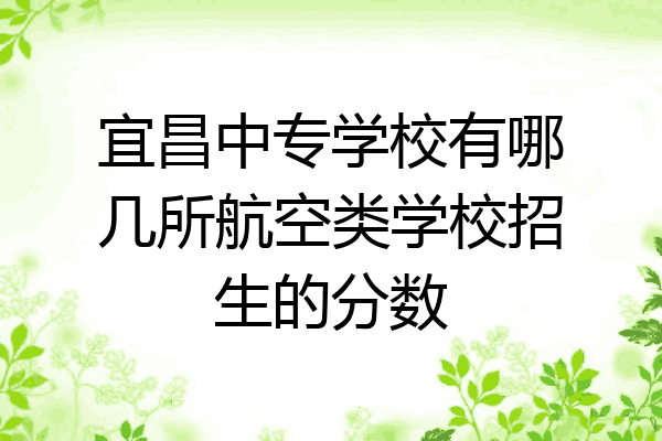 宜昌中专学校有哪几所航空类学校招生的分数
