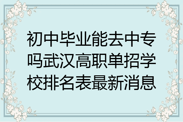 初中毕业能去中专吗武汉高职单招学校排名表最新消息