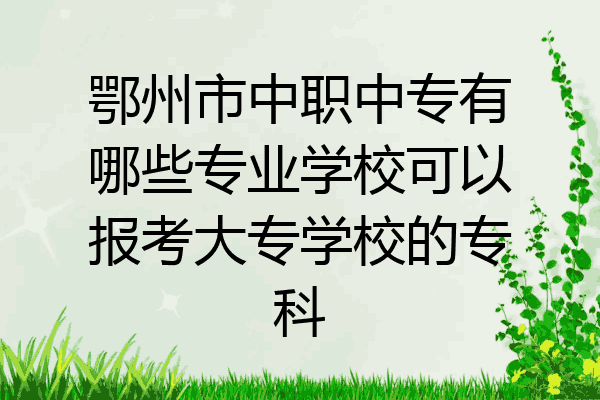 鄂州市中职中专有哪些专业学校可以报考大专学校的专科