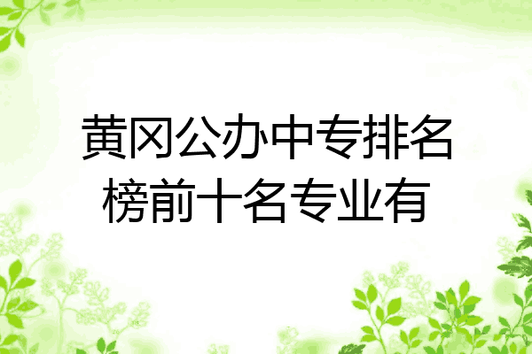 黄冈公办中专排名榜前十名专业有