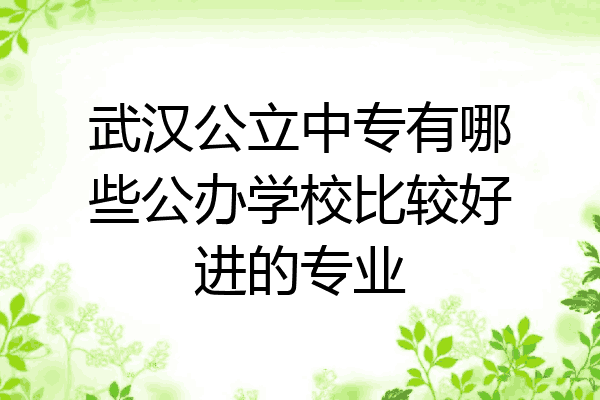 武汉公立中专有哪些公办学校比较好进的专业