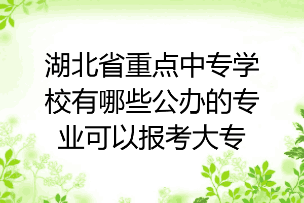 湖北省重点中专学校有哪些公办的专业可以报考大专