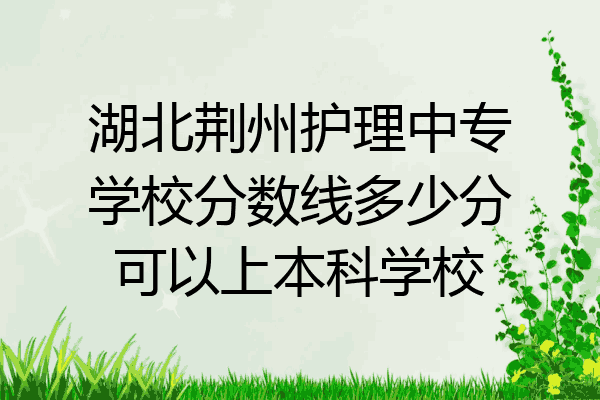 湖北荆州护理中专学校分数线多少分可以上本科学校