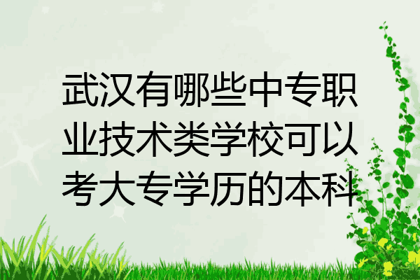武汉有哪些中专职业技术类学校可以考大专学历的本科