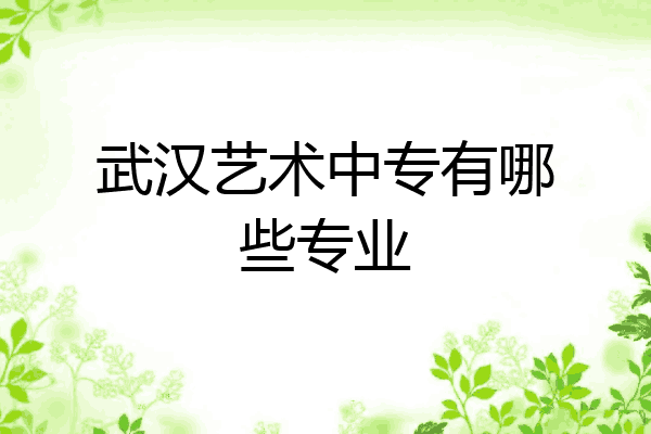武汉艺术中专有哪些专业