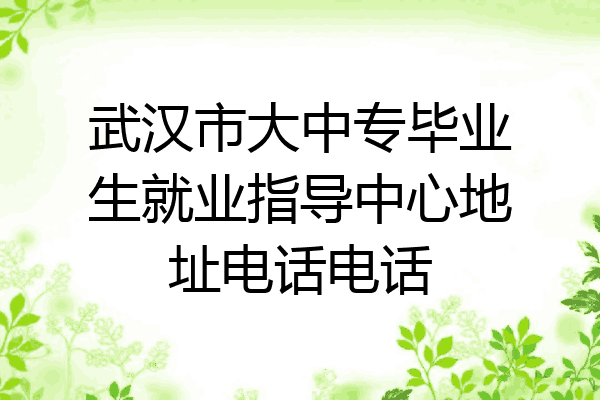 武汉市大中专毕业生就业指导中心地址电话电话