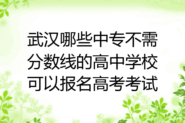 武汉哪些中专不需分数线的高中学校可以报名高考考试