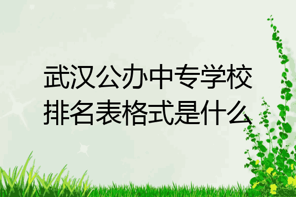 武汉公办中专学校排名表格式是什么
