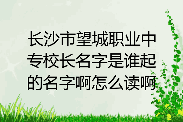 长沙市望城职业中专校长名字是谁起的名字啊怎么读啊